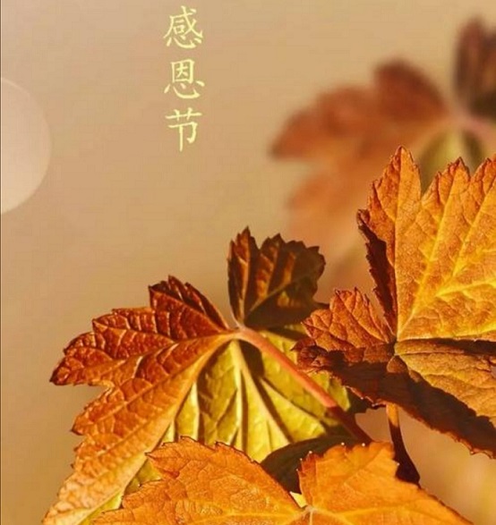 感恩遇見！